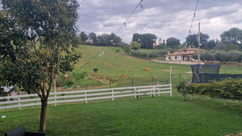 Foto annuncio 11