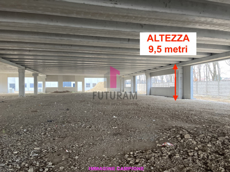 Foto annuncio 7
