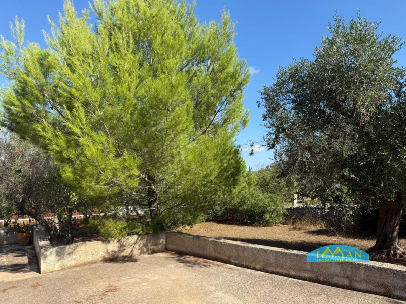 Immagine 18 di Villa in vendita  in Contrada Monte Calvo a Ceglie Messapico