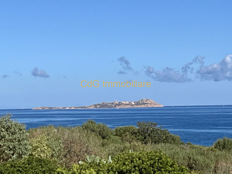 Foto annuncio 33