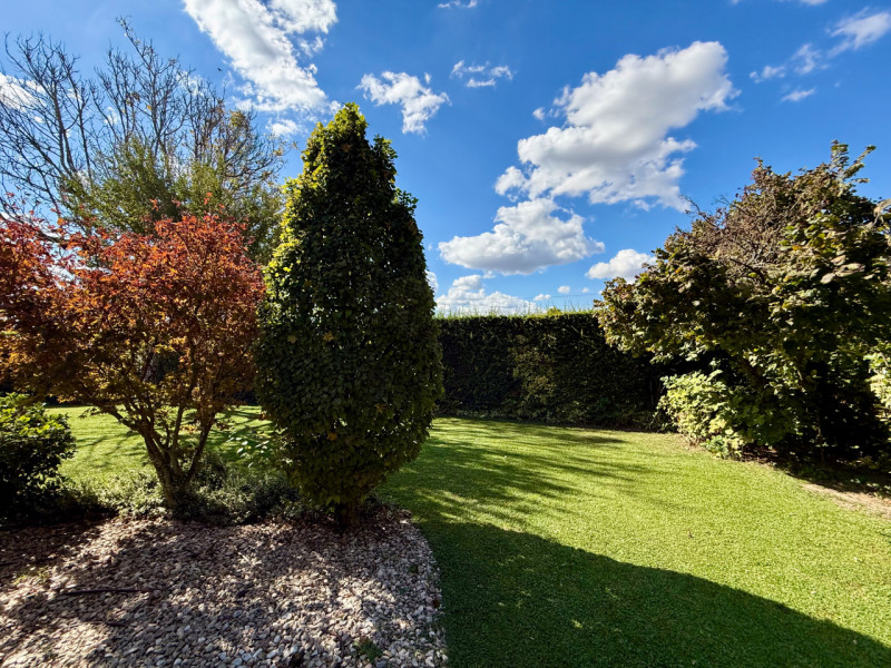 Immagine 6 di Casa indipendente in vendita  in Via P. Lazzarini 19 a Lozzo Atestino