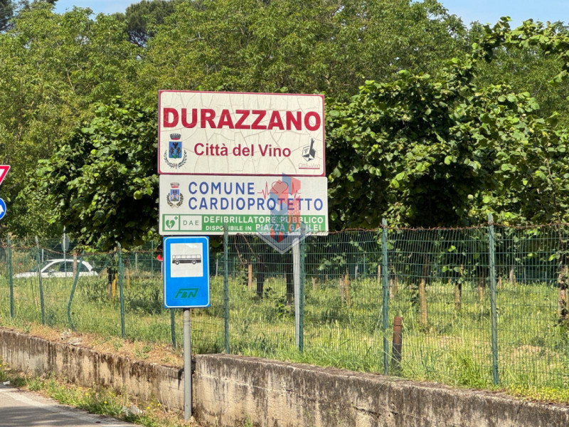 Foto annuncio 7