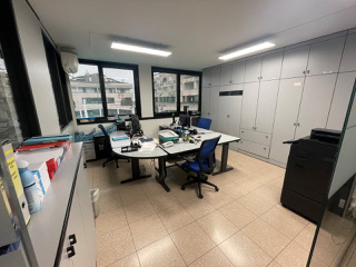 Foto annuncio 7