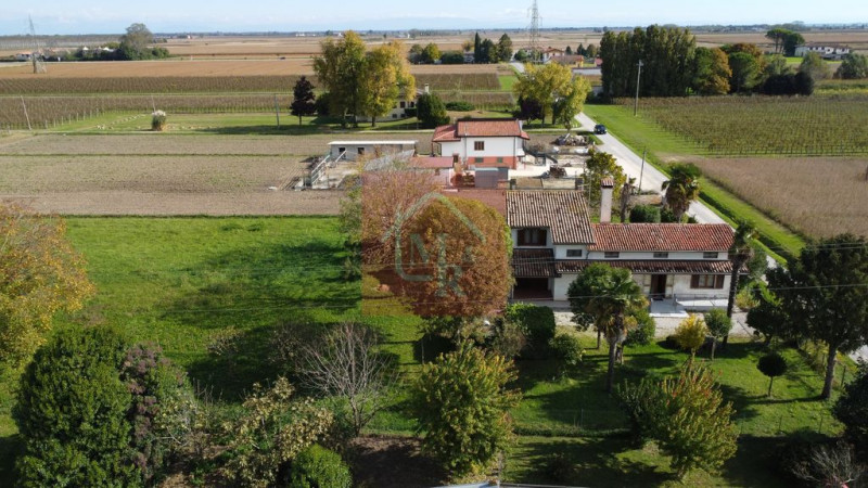 Foto annuncio 9