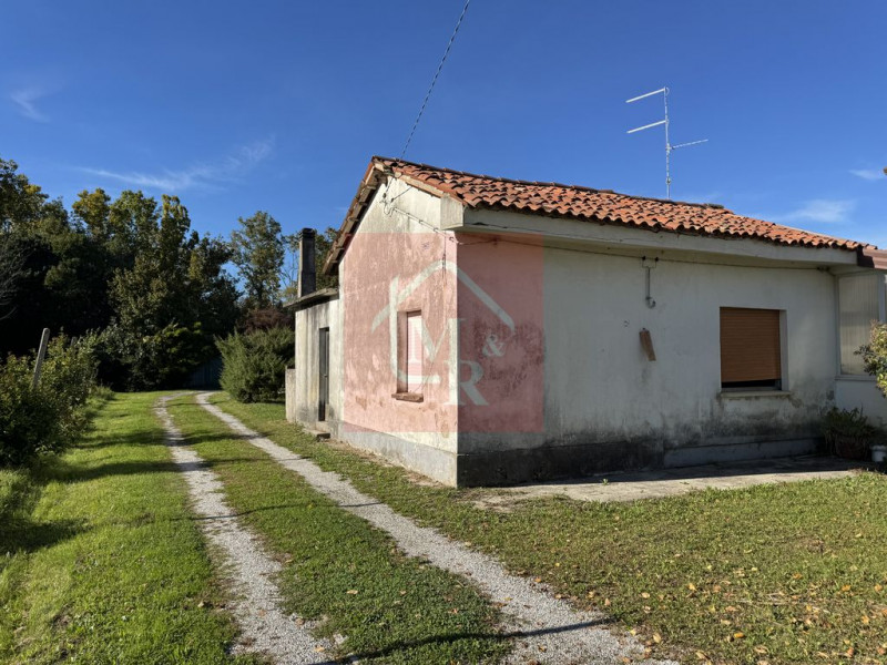 Foto annuncio 38
