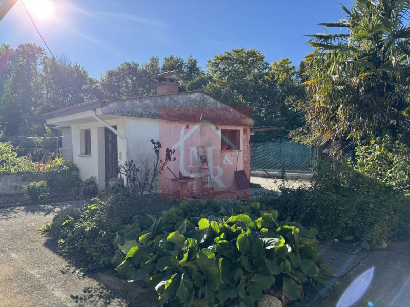 Foto annuncio 51