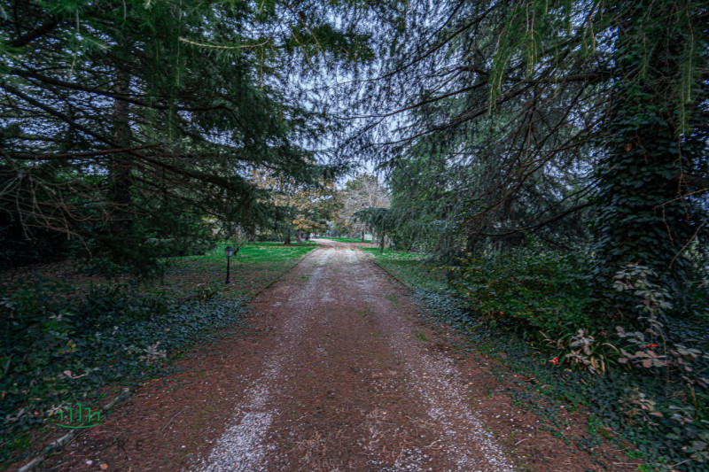 Immagine 4 di Rustico / casale in vendita  in VIA MEDESANO 2 a Castel Guelfo Di Bologna