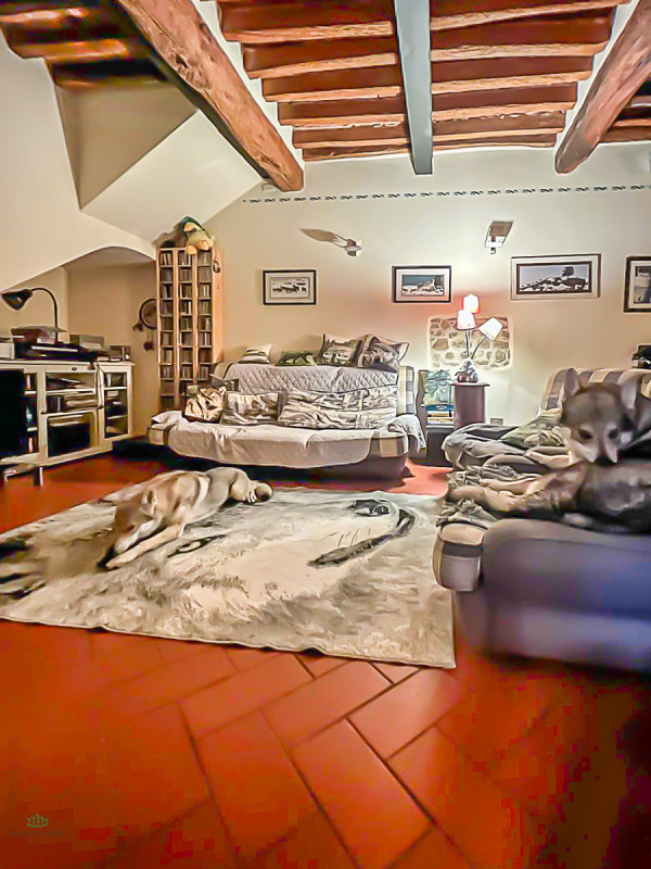 Immagine 19 di Rustico / casale in vendita  in VIA MEDESANO 2 a Castel Guelfo Di Bologna