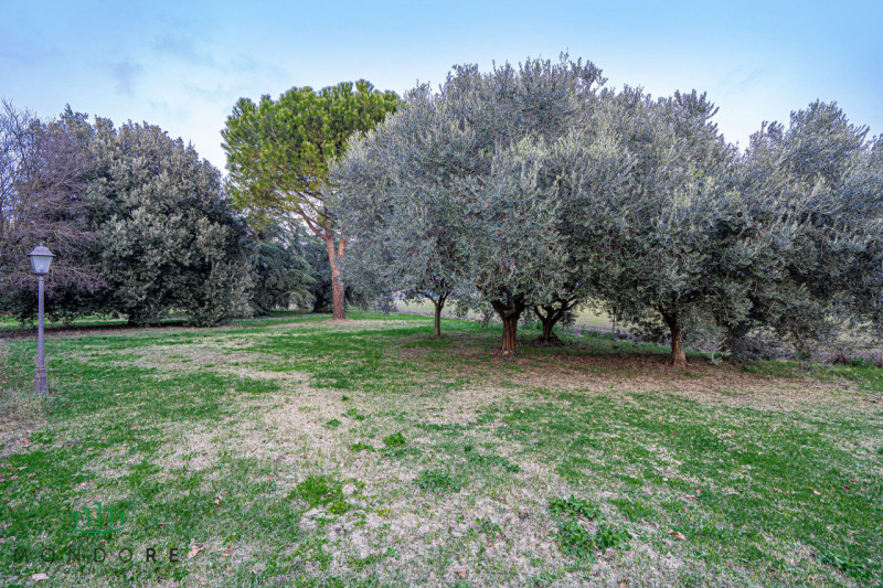 Immagine 36 di Rustico / casale in vendita  in VIA MEDESANO 2 a Castel Guelfo Di Bologna