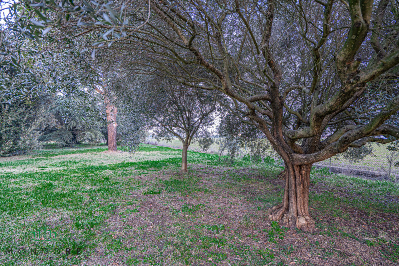 Immagine 37 di Rustico / casale in vendita  in VIA MEDESANO 2 a Castel Guelfo Di Bologna