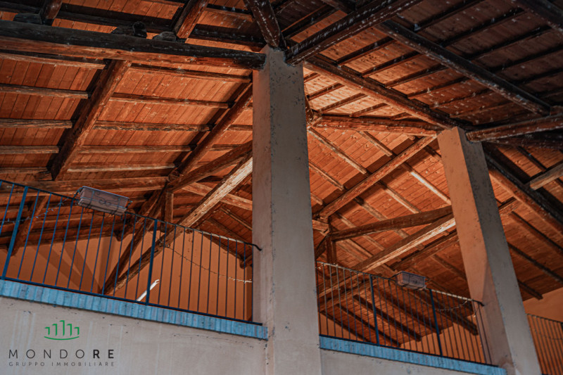 Immagine 65 di Rustico / casale in vendita  in VIA MEDESANO 2 a Castel Guelfo Di Bologna