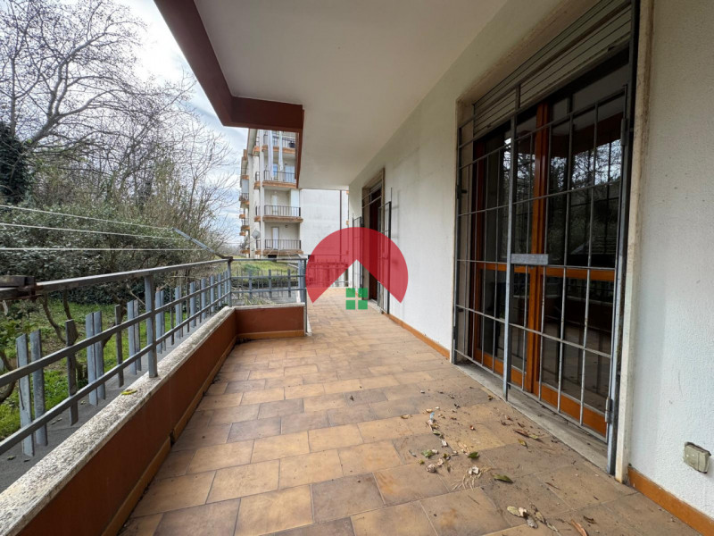 Foto annuncio 29