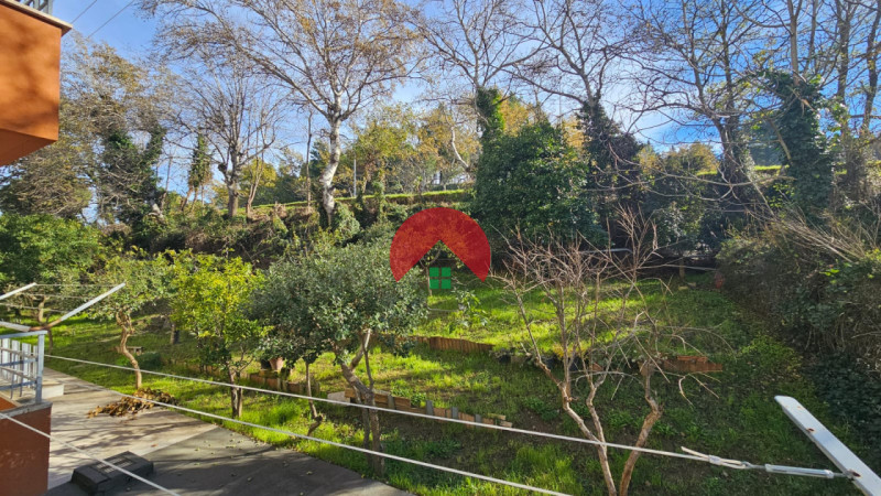 Foto annuncio 37