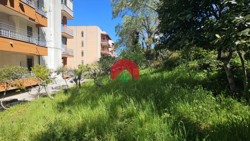 Foto annuncio 42