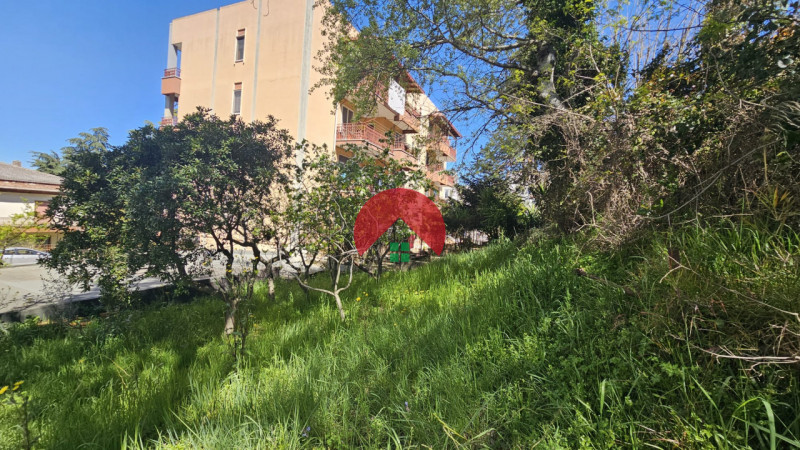 Foto annuncio 46