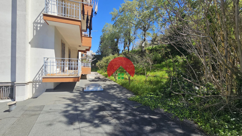 Foto annuncio 48