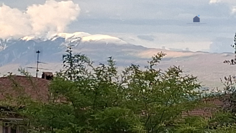 Foto annuncio 21