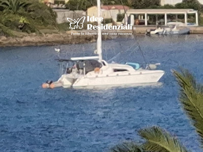 Foto annuncio 20