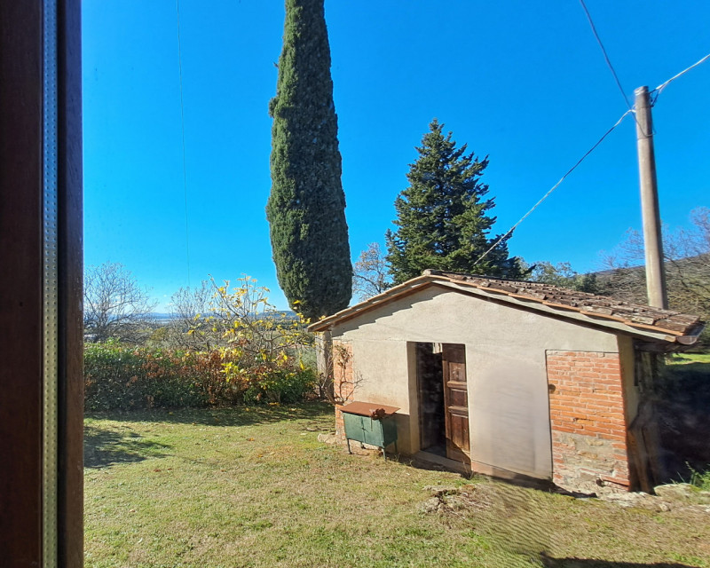 Foto annuncio 32