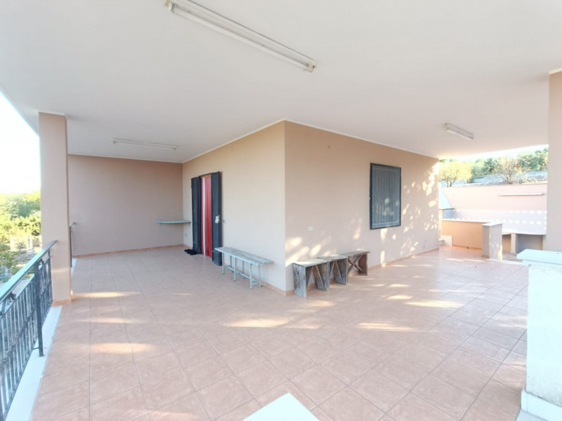 Foto annuncio 8