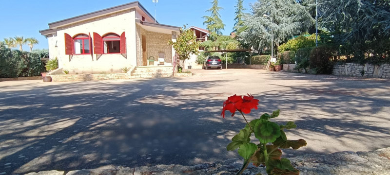 Foto annuncio 2