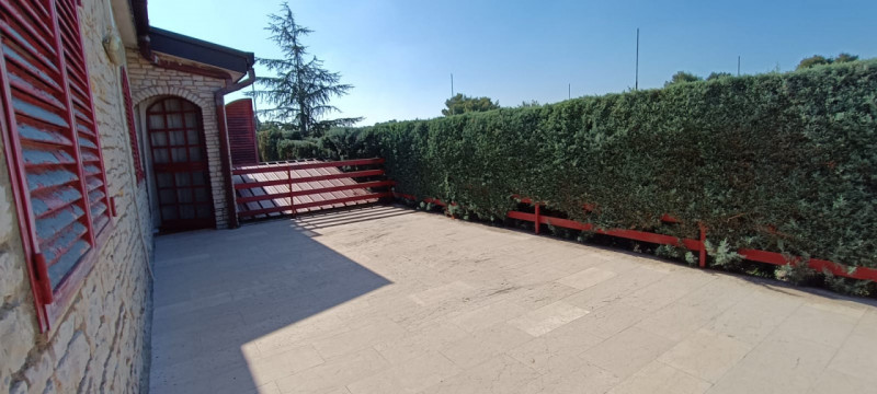 Foto annuncio 6
