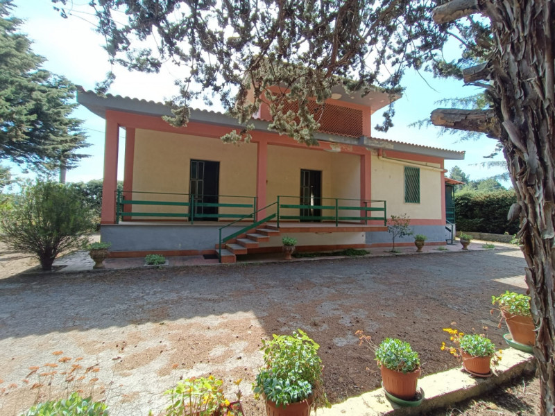 Foto annuncio 1