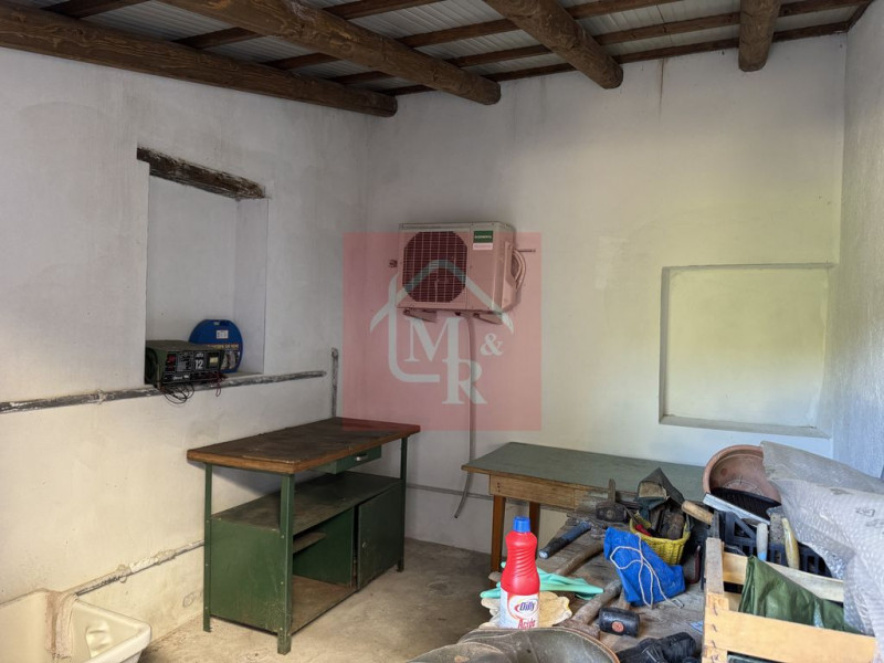 Foto annuncio 52