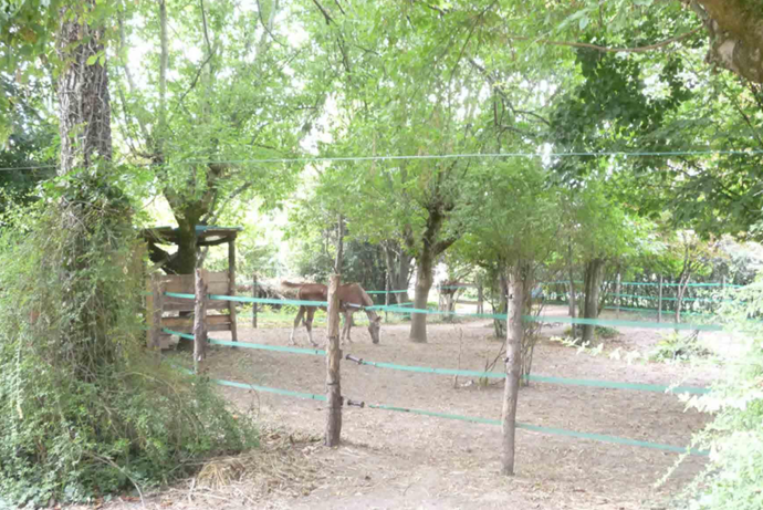 Foto annuncio 54