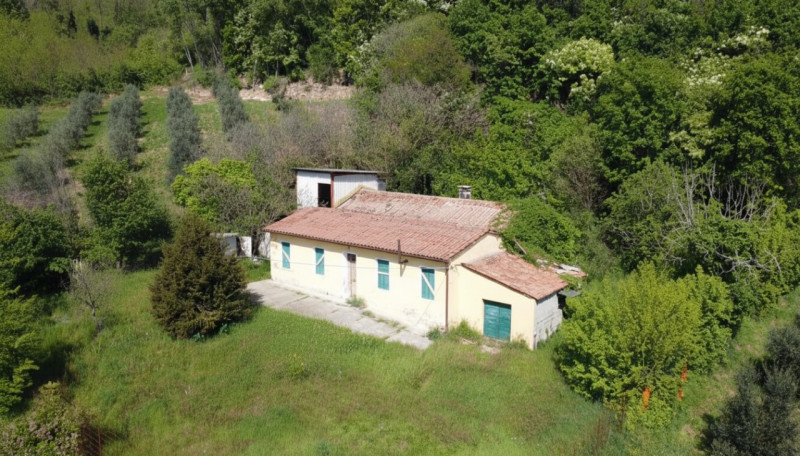 Foto annuncio 1