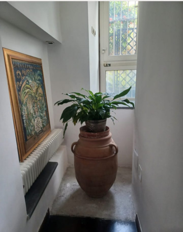 Foto annuncio 11