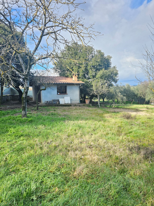 Foto annuncio 5