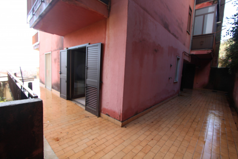 Foto annuncio 12