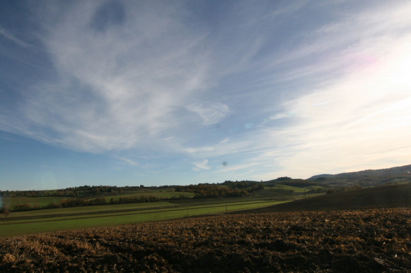 Foto annuncio 46