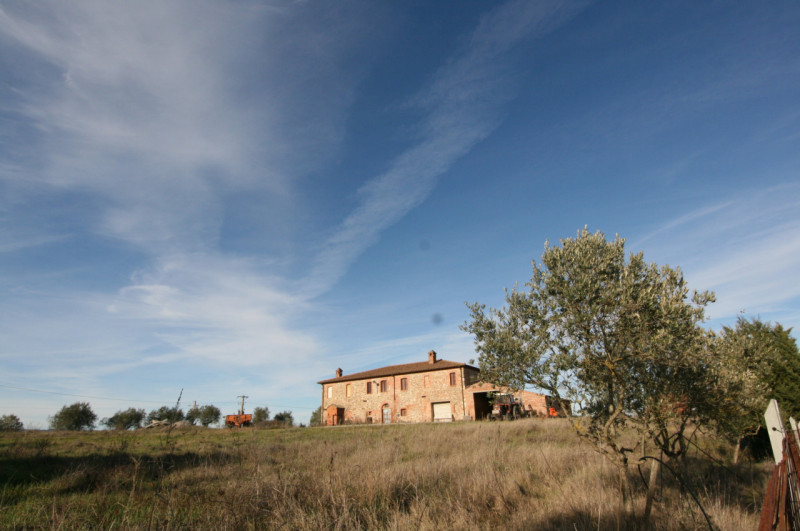 Foto annuncio 48