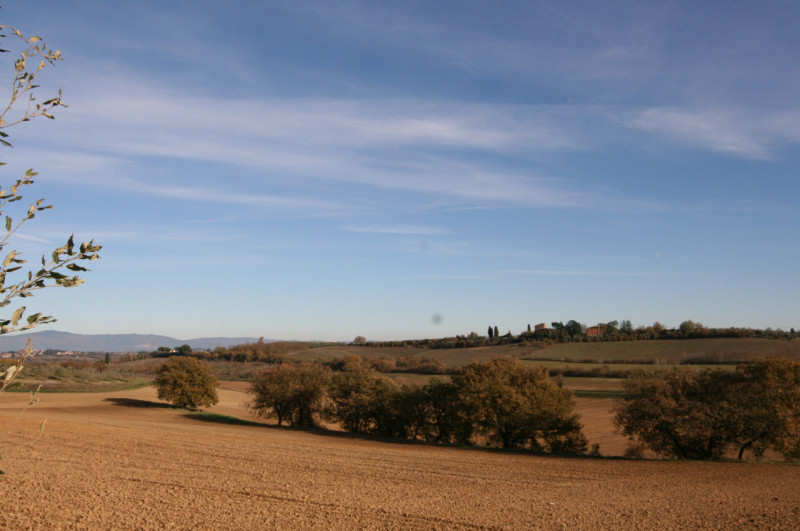 Foto annuncio 51
