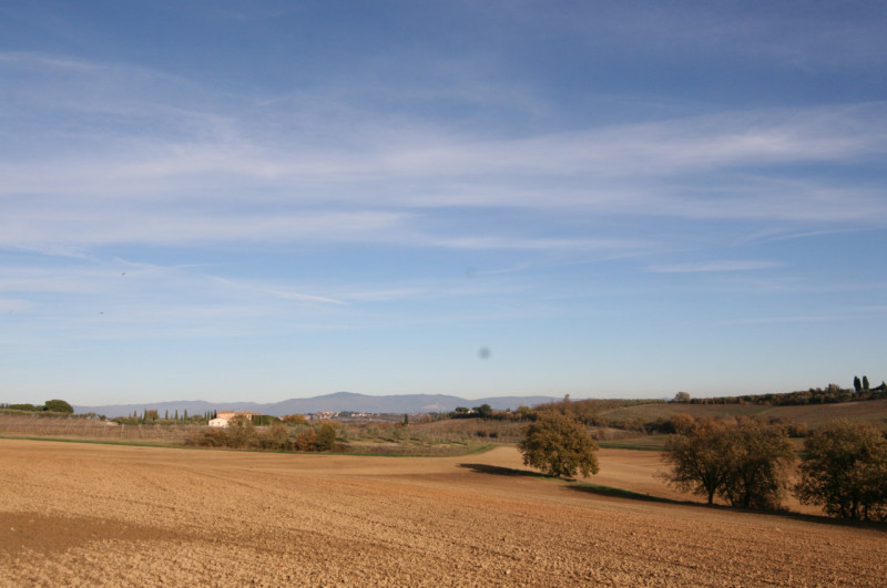 Foto annuncio 52