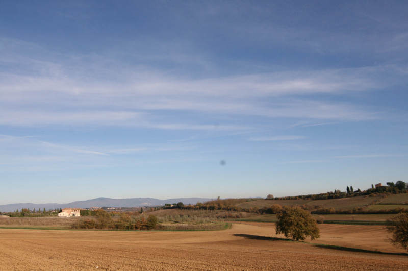 Foto annuncio 54