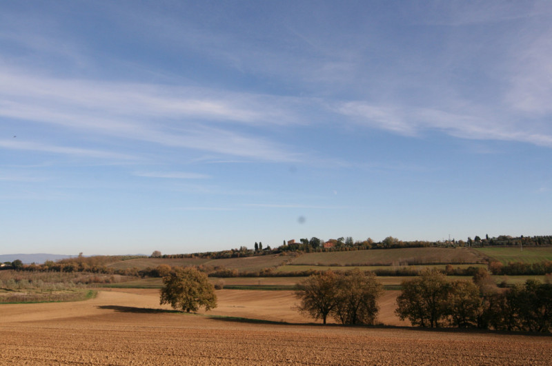 Foto annuncio 55
