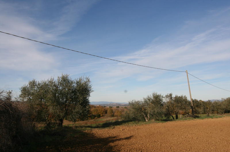 Foto annuncio 59