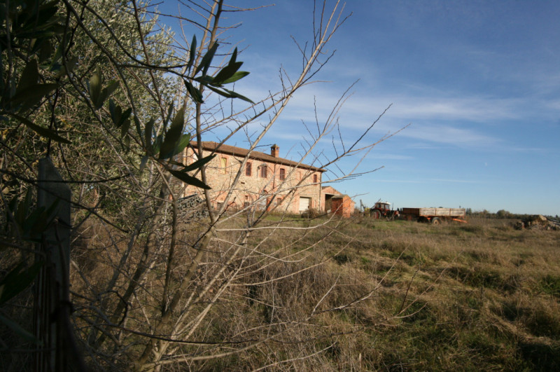 Foto annuncio 65