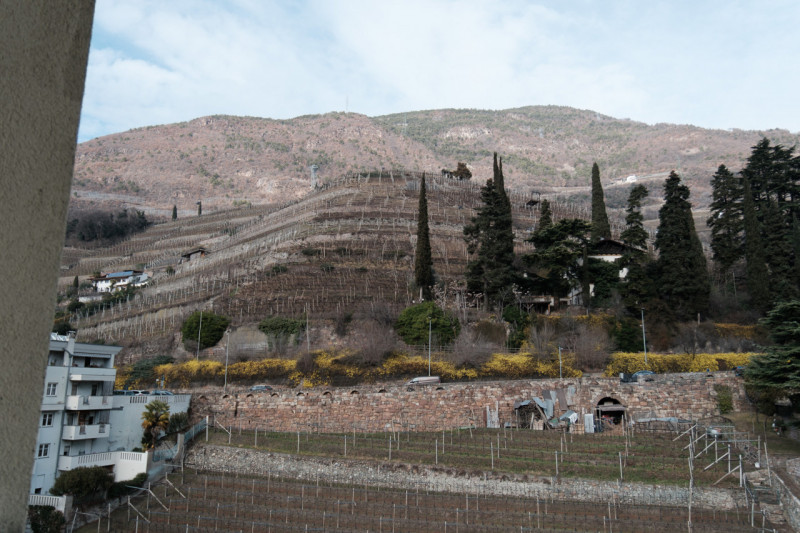 Foto annuncio 12
