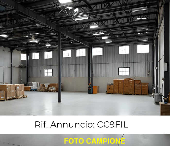 Foto annuncio 1