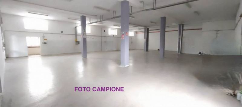 Foto annuncio 10