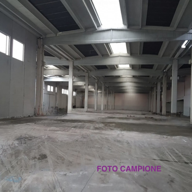 Foto annuncio 11