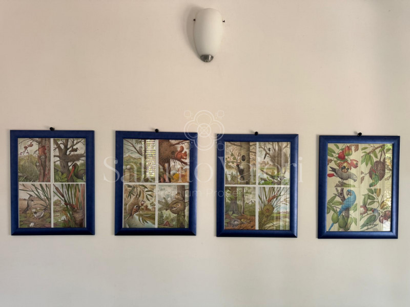 Foto annuncio 19