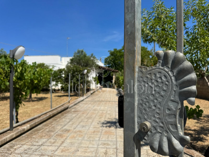 Foto annuncio 36