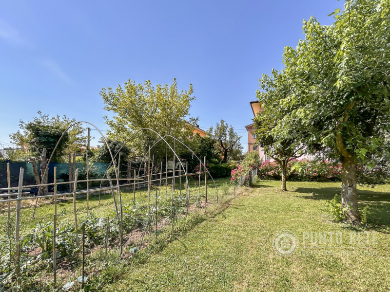 Foto annuncio 10