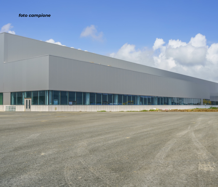 Foto annuncio 7