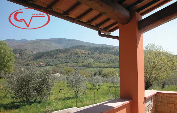 Foto annuncio 25